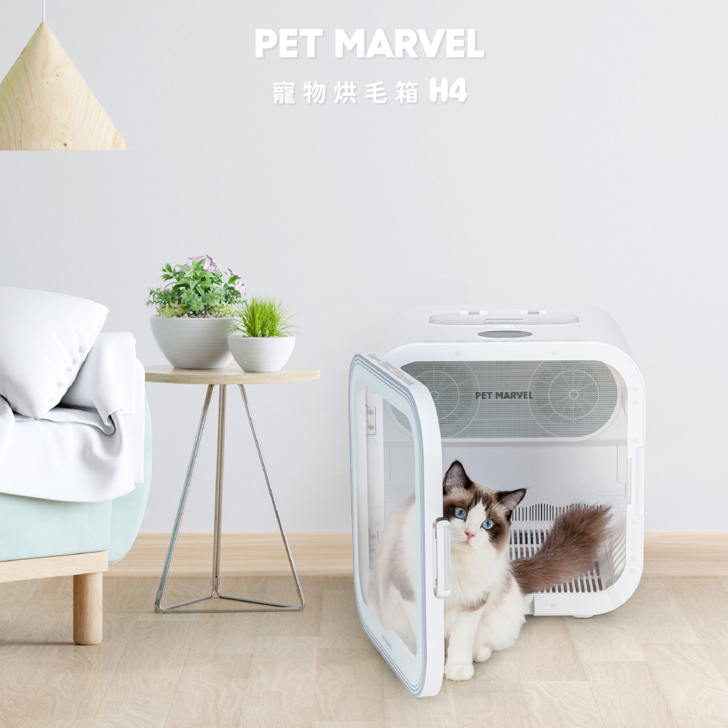 Pet Marvel 寵物烘毛箱 H4 ｜𝟭𝟱分鐘 𝗖𝗛𝗘𝗖𝗞 𝗢𝗨𝗧！